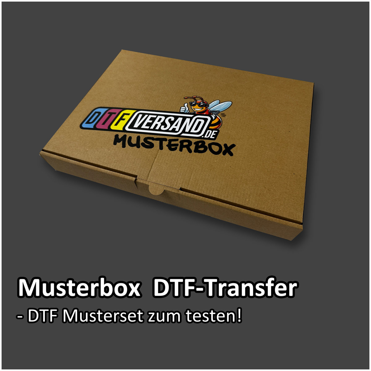 DTF Transfer Musterbox